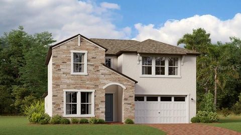 A home in LAND O LAKES