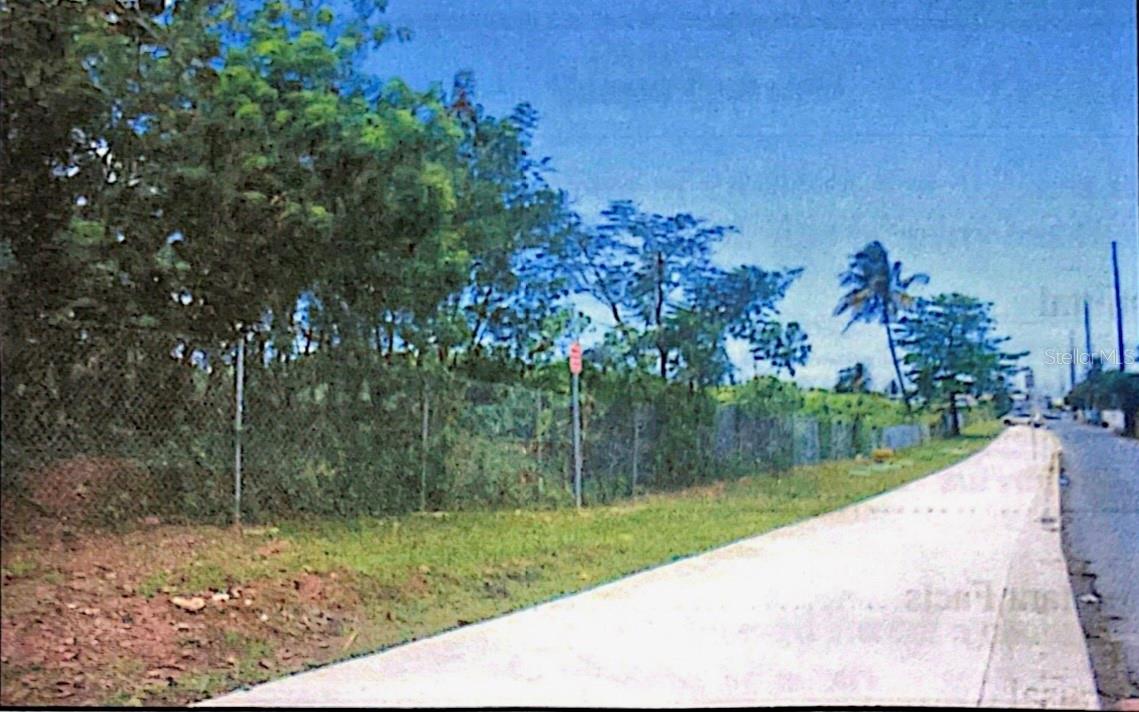 PR-8869 AT KILOMETER 0.7, PALMAS WARD, CAT
