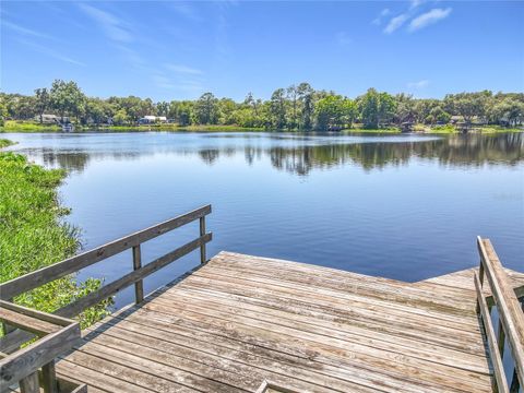 Tiny photo for 43809 Sunset Dr, Paisley, FL 32767 (MLS # G5112629)
