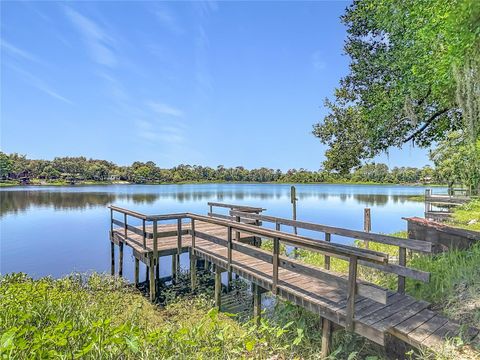 Tiny photo for 43809 Sunset Dr, Paisley, FL 32767 (MLS # G5112629)