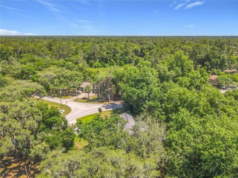 Tiny photo for 43809 Sunset Dr, Paisley, FL 32767 (MLS # G5112629)