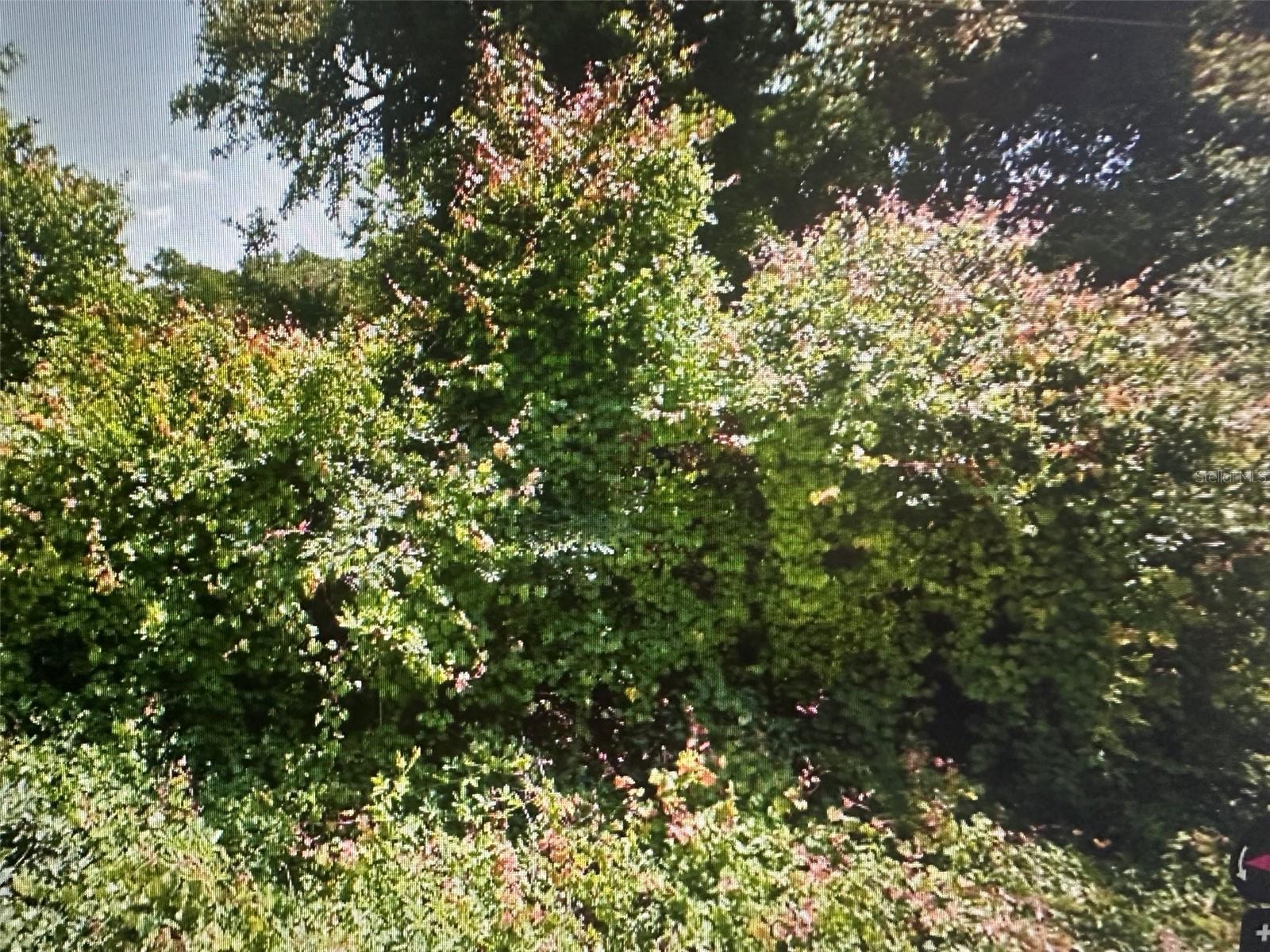 Must see!! Come build your next home here in the country. Quite country living at its best! .26 acres in New Port Richey. Close to shopping, Schools, and the sun coast parkway. Plus Tampa is only 25 mins away.