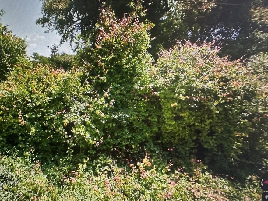 Must see!! Come build your next home here in the country. Quite country living at its best! .26 acres in New Port Richey. Close to shopping, Schools, and the sun coast parkway. Plus Tampa is only 25 mins away.