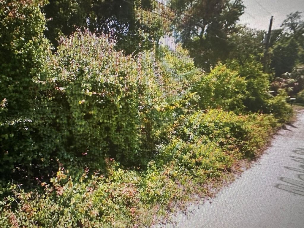 Photo of Malati Street, New Port Richey, FL 34654 (MLS # A4601171)