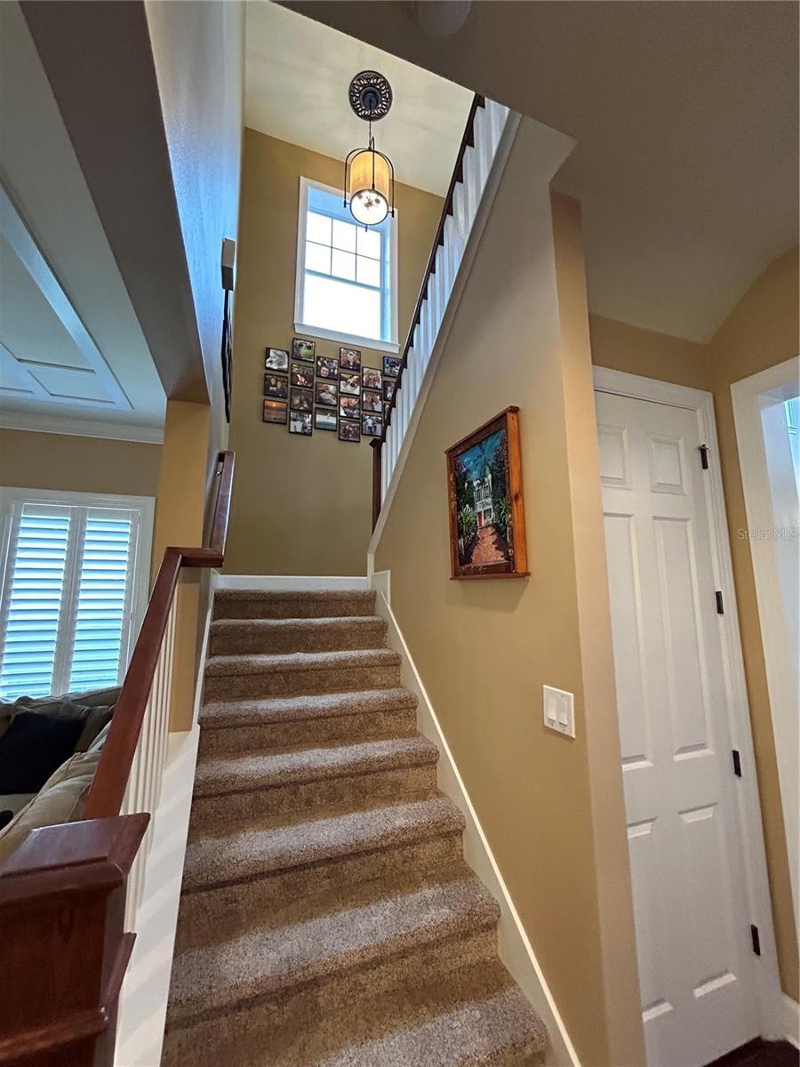 CELEBRATION AREA 05 - Residential