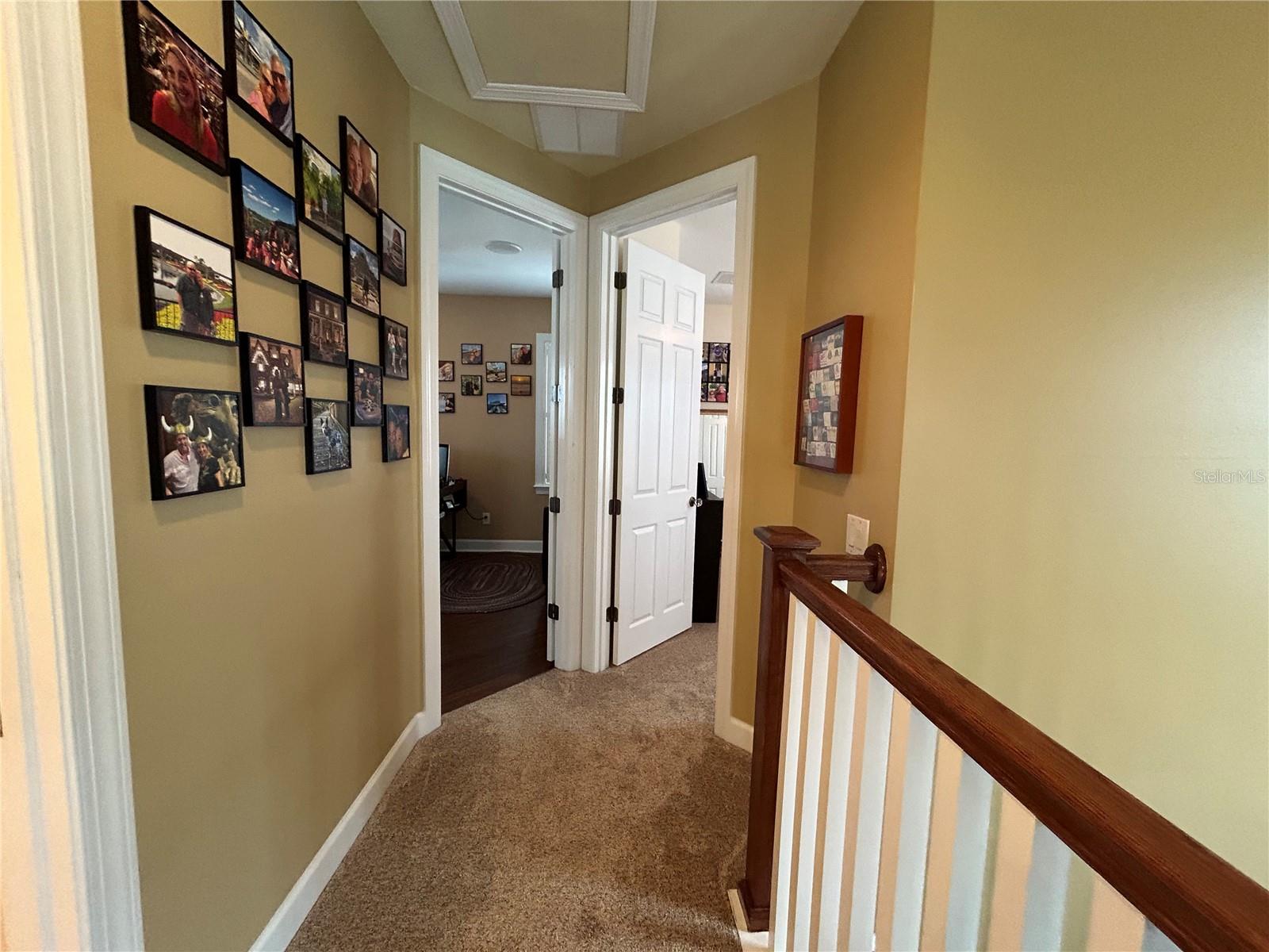 CELEBRATION AREA 05 - Residential