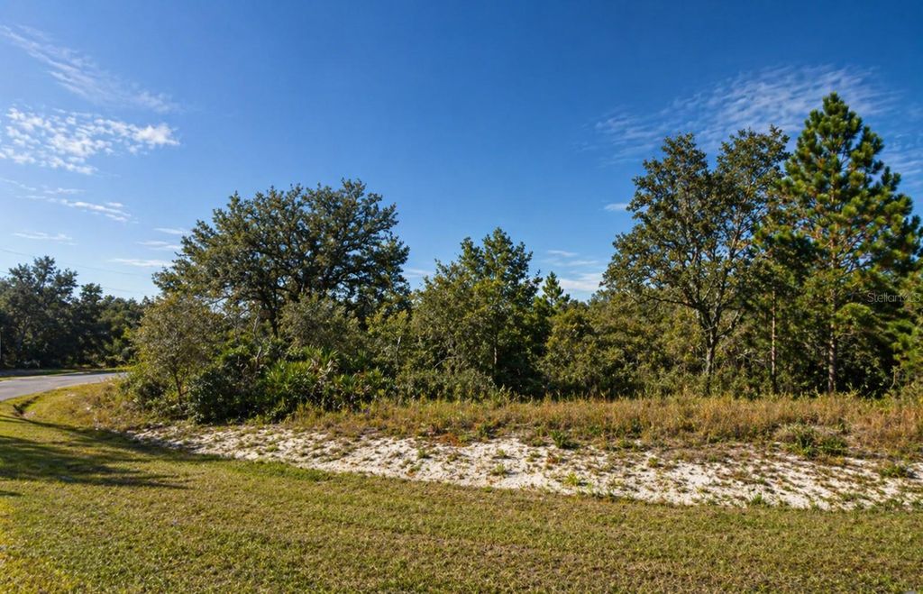 Photo of 320 Bowfin Drive, Kissimmee, FL 34759 (MLS # S5148462)