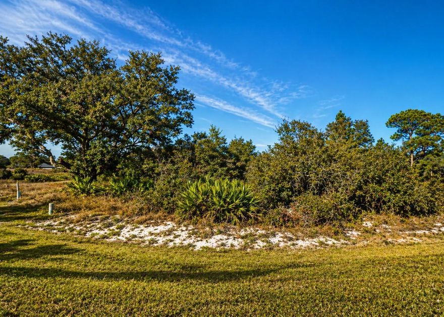 Great opportunity to own an oversized vacant residential lot in Poinciana with approximately .36 acres / 15,664 square feet to build your dream home or secure a solid investment in a growing area. Located within the Association of Poinciana Villages, the community offers a variety of amenities, some available for an additional fee. The lot directly behind this parcel is also available for sale under a separate listing, giving buyers a rare chance to acquire two nearby properties for expanded possibilities and future value.