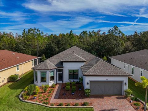 Photo of 884 Jasmine Creek Road, Poinciana, FL 34759 (MLS # S5095525)