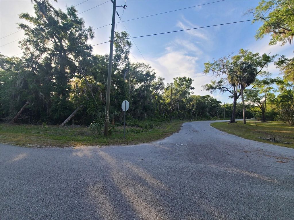 Photo of 9840 N Snowball Point, Crystal River, FL 34428 (MLS # OM677489)