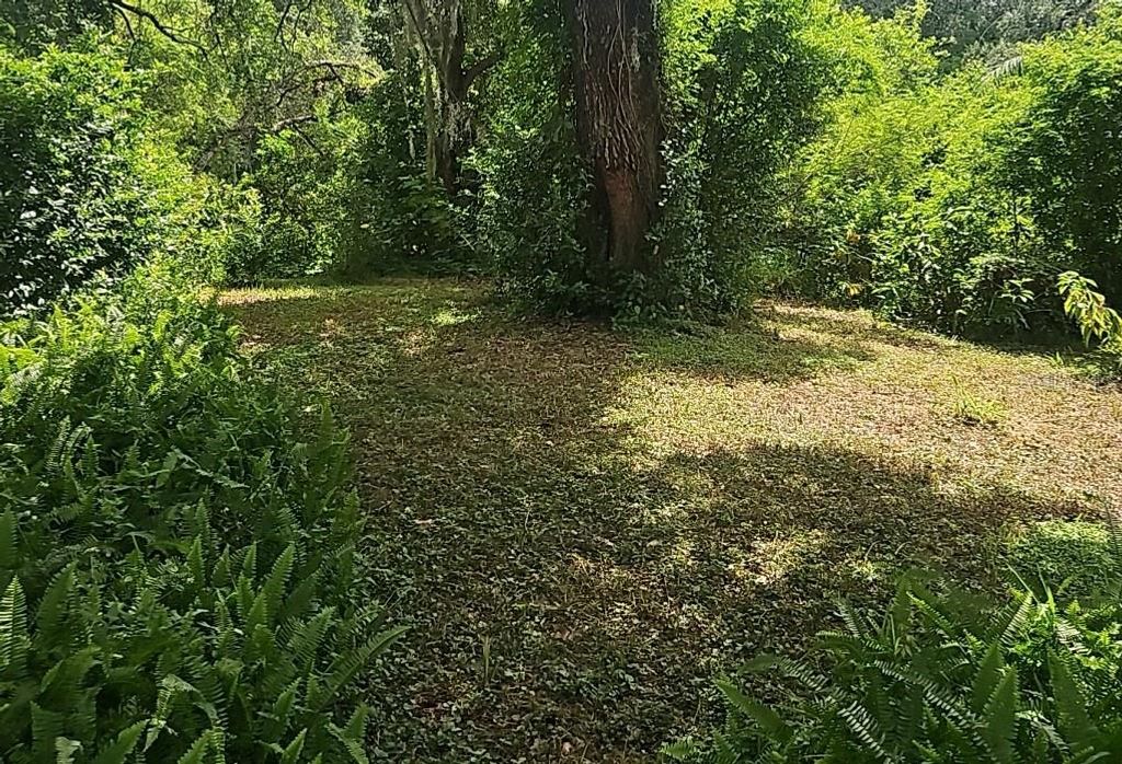 Photo of 1915 E Mulberry Drive, Tampa, FL 33604 (MLS # TB8429867)