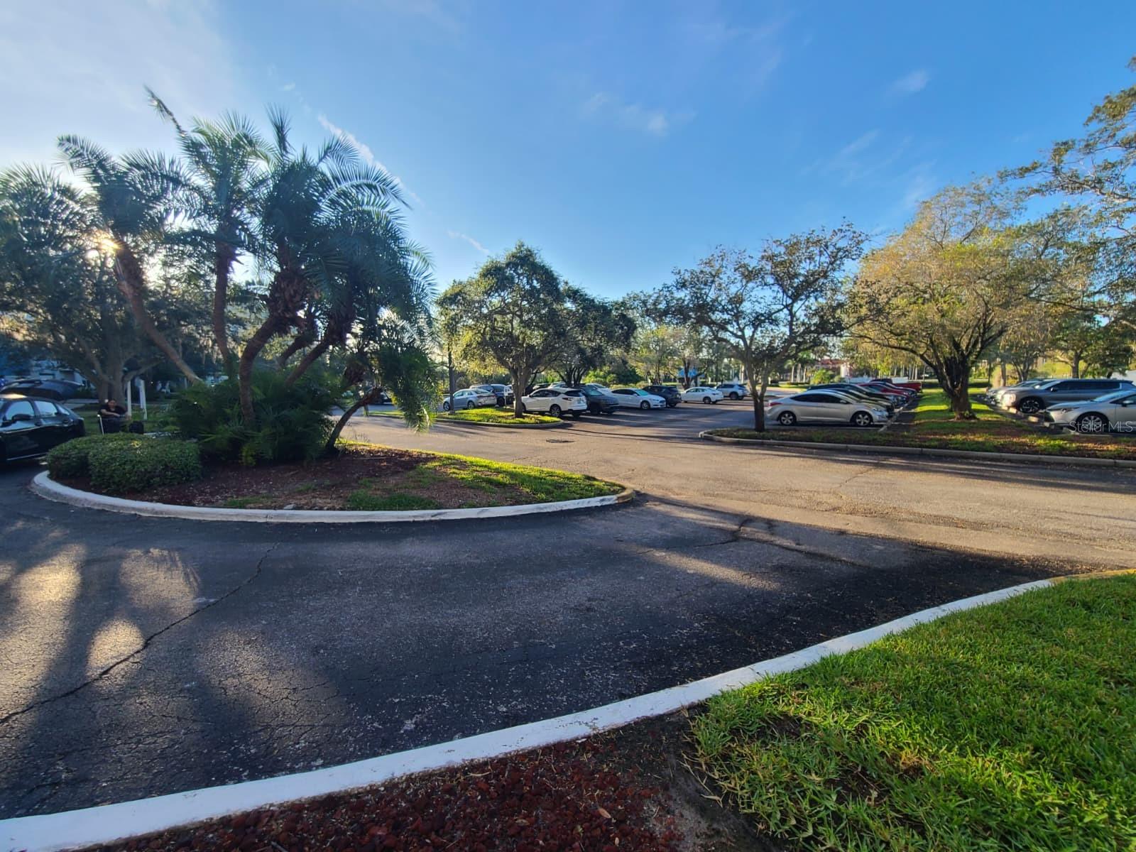 CRYSTAL BAY CONDO - Residential