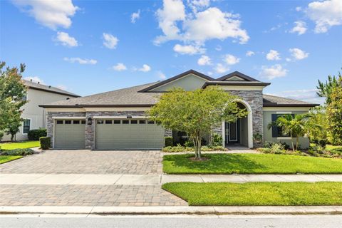 21642 EMORY OAK PLACE LAND O LAKES FL 34637