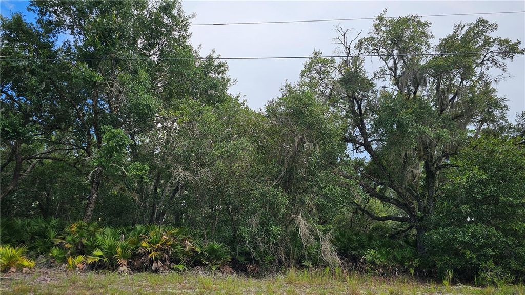 Photo of 1005 Plumosa Drive, Indian Lake Estates, FL 33855 (MLS # O6328269)