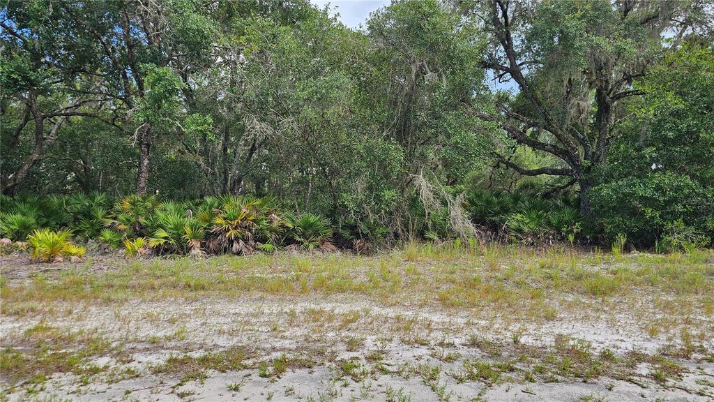 Photo of 1005 Plumosa Drive, Indian Lake Estates, FL 33855 (MLS # O6328269)