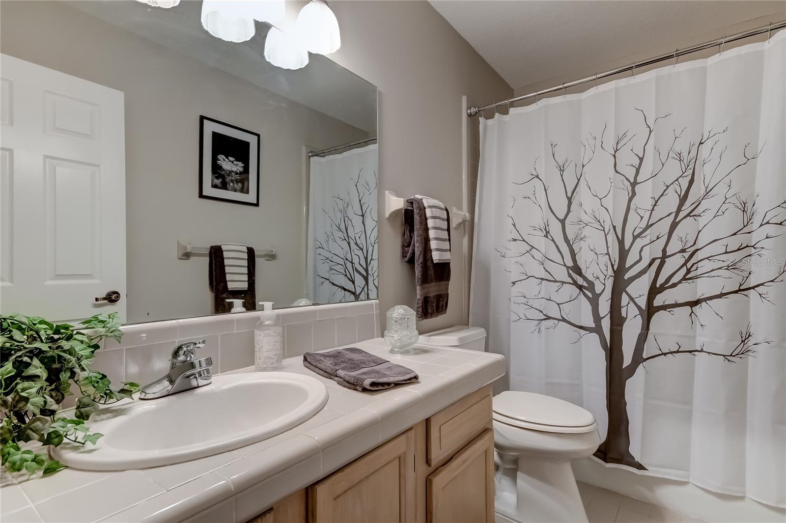 LAKE PADGETT SOUTH - Residential