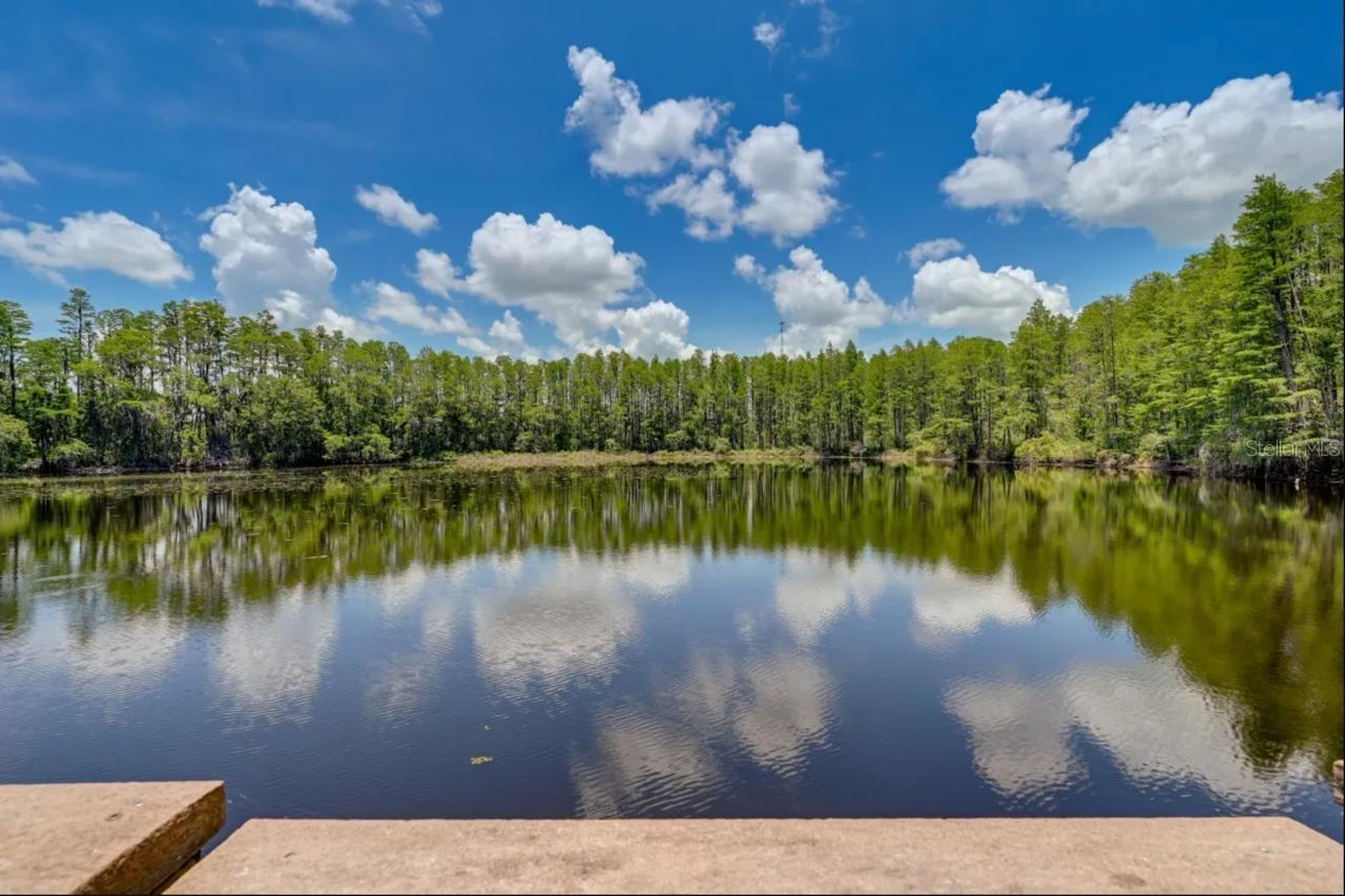 PARADISE LAKES RESORT CONDO - Residential