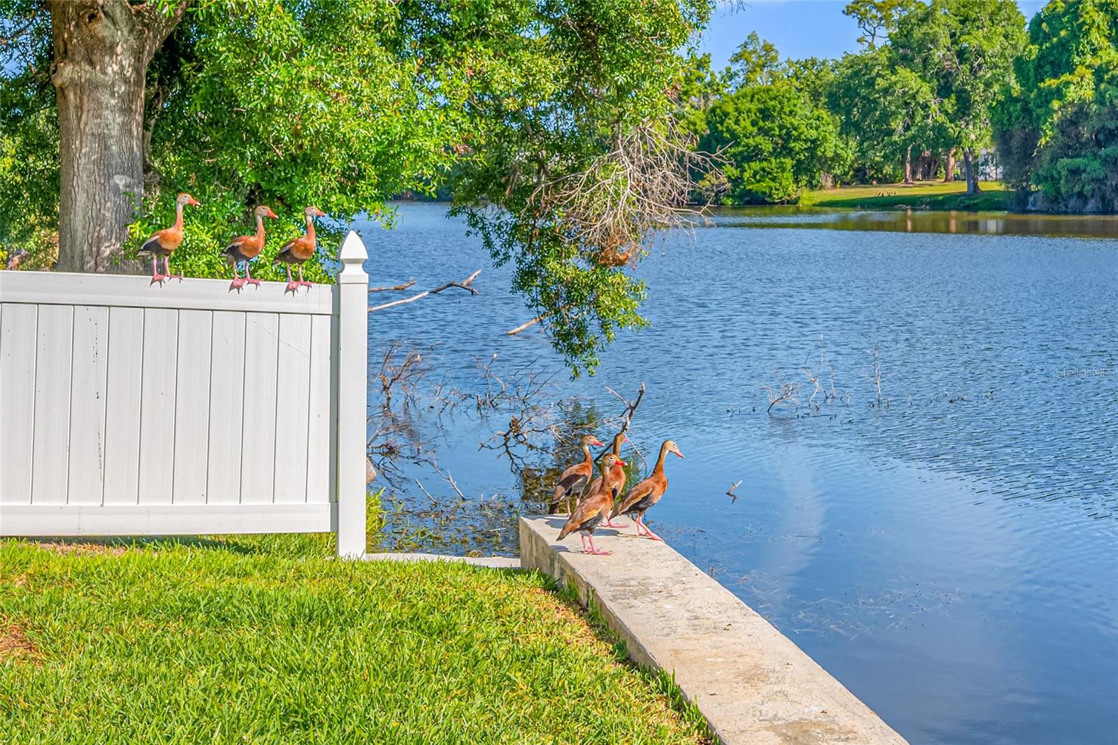 SUMMIT LAKE SEC OF LAKEWOOD ESTATES - Residential