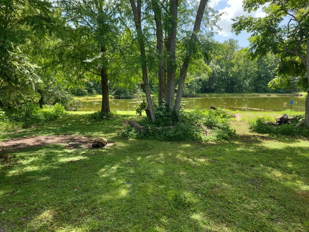 1656 RIVEREDGE ROAD
