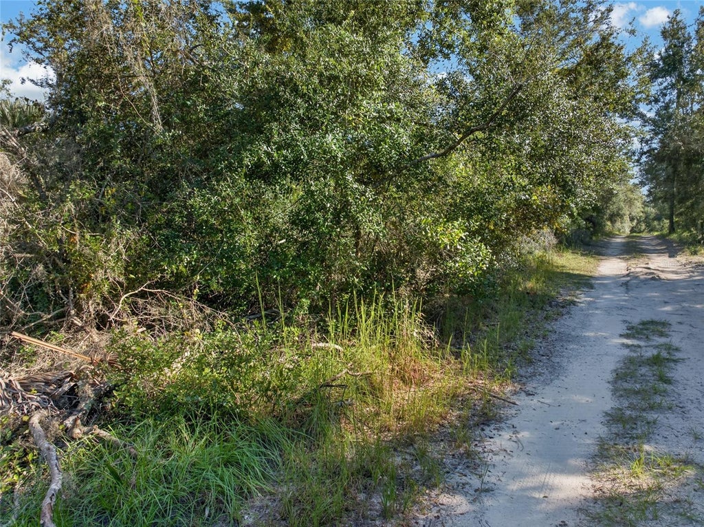 Photo of 431 Wilburton Drive, Deltona, FL 32738 (MLS # V4951888)