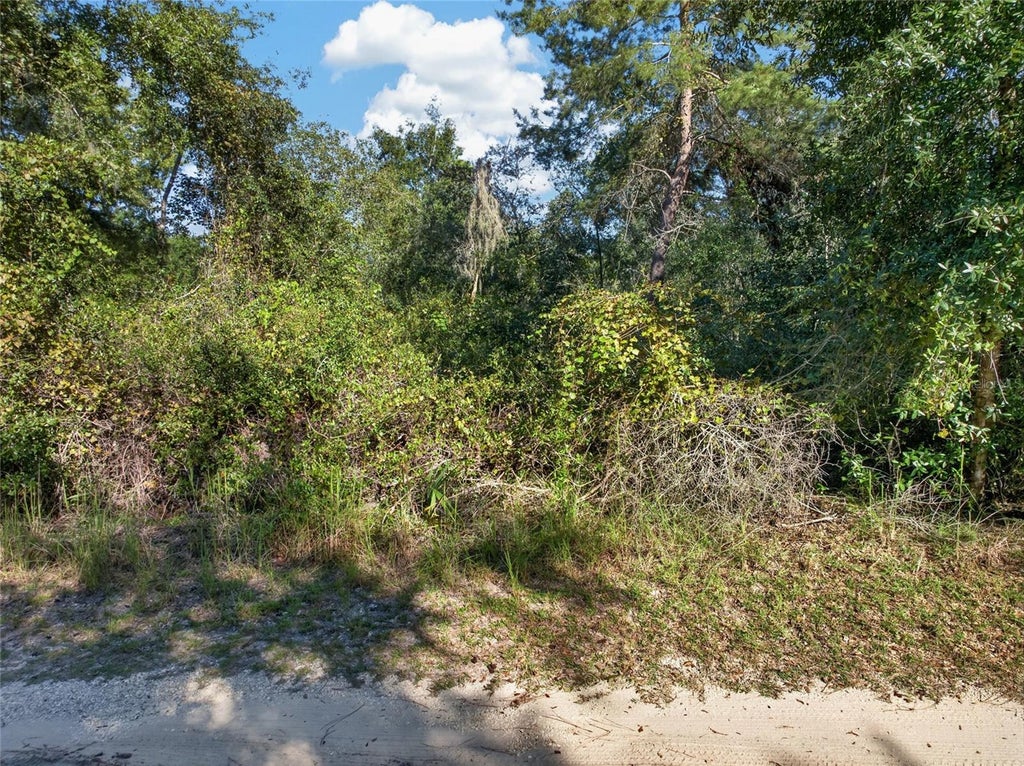 Photo of 431 Wilburton Drive, Deltona, FL 32738 (MLS # V4951888)