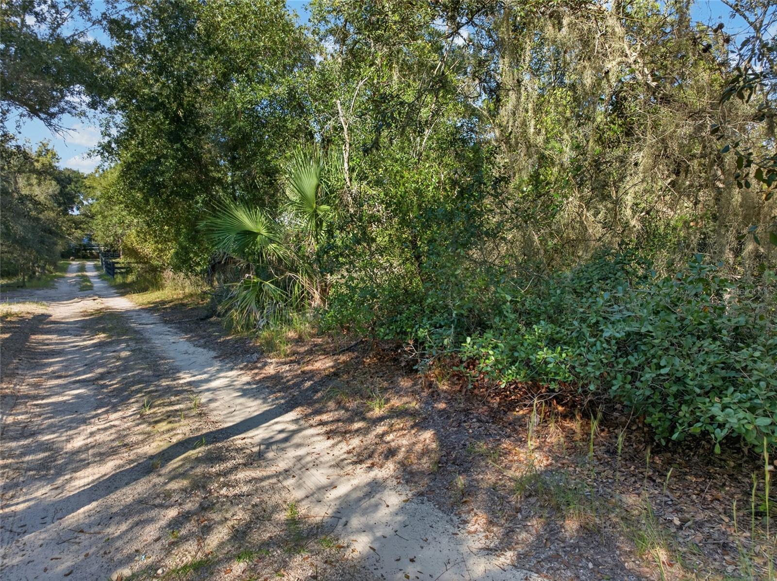 431 WILBURTON DRIVE