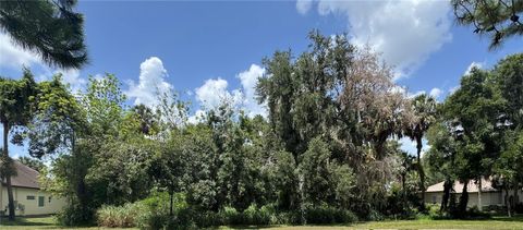 Photo of 14 Blue Heron Circle Circle, Deer Island, FL 32778 (MLS # TB8410714)