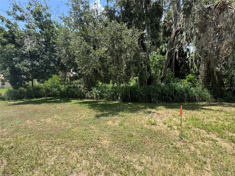 Tiny photo for 14 Blue Heron Circle Circle, Deer Island, FL 32778 (MLS # TB8410714)