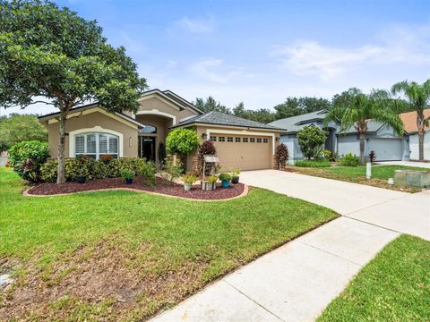 A home in VALRICO