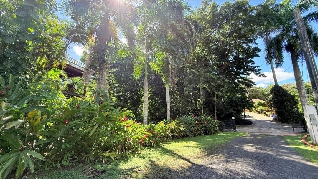 CALLE VANDA - Residential