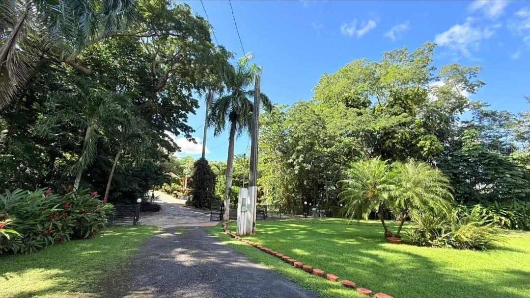 CALLE VANDA - Residential