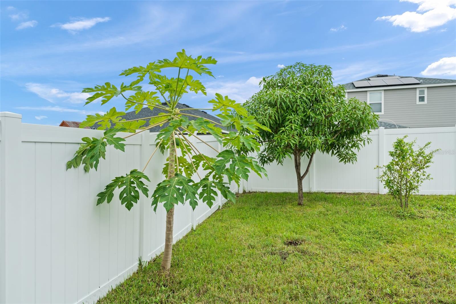SIENA RESERVE PH 2C - Residential