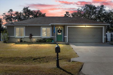 A home in PALM COAST