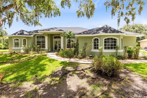 5204 HAMMOCK POINTE COURT ST CLOUD FL 34771
