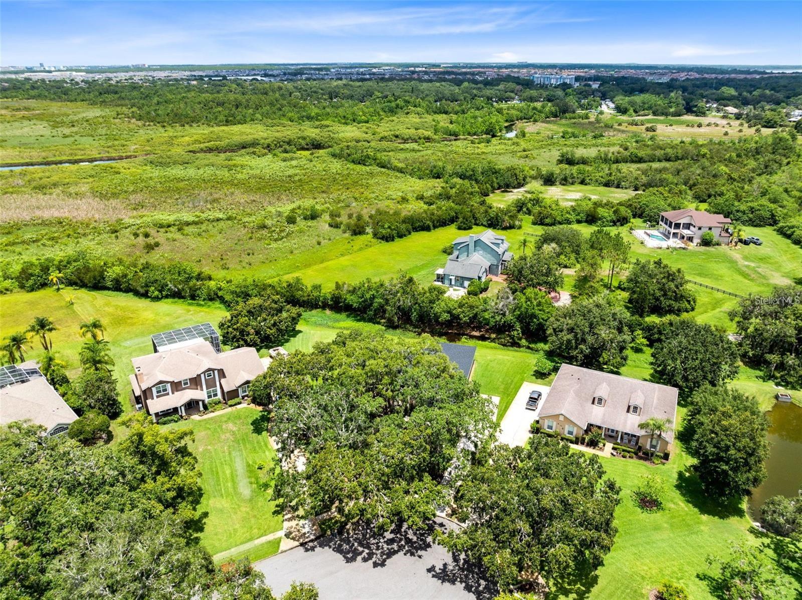 5204 HAMMOCK POINTE COURT