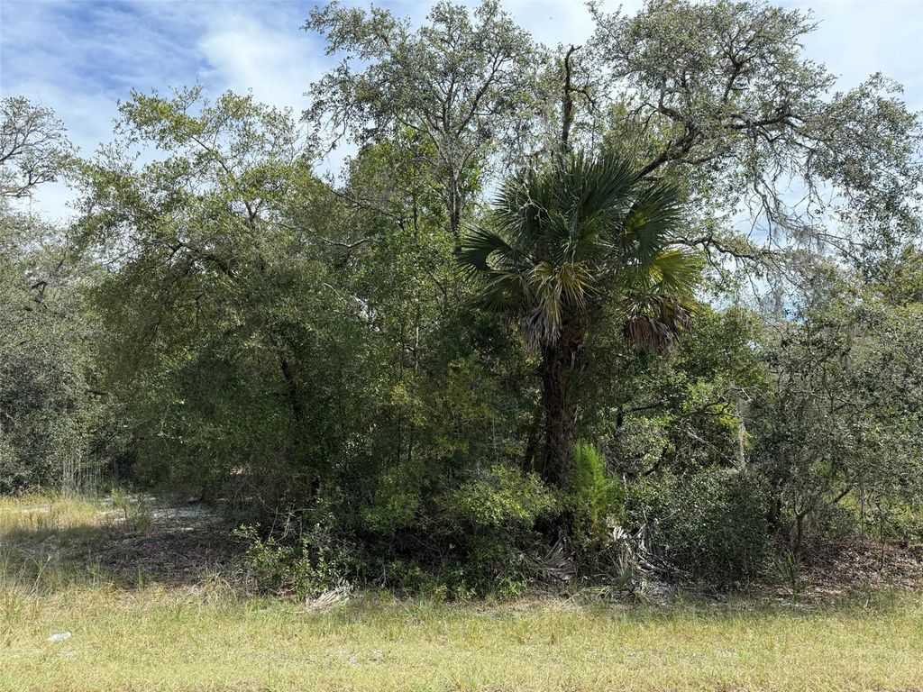Photo of 9793 N Alder Avenue, Crystal River, FL 34428 (MLS # OK225556)