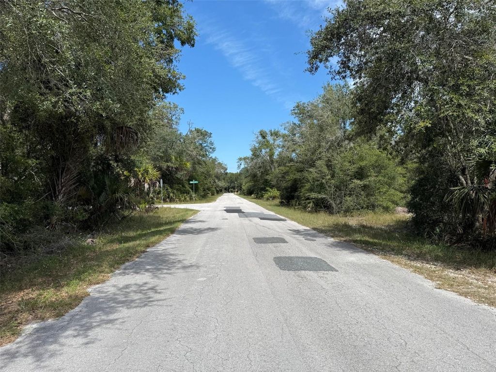 Photo of 9793 N Alder Avenue, Crystal River, FL 34428 (MLS # OK225556)