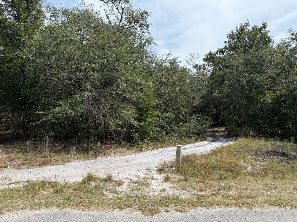 Photo of 9793 N Alder Avenue, Crystal River, FL 34428 (MLS # OK225556)