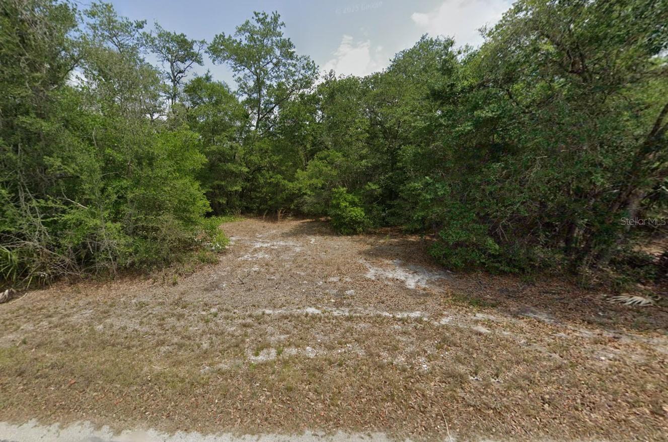 Build your dream home on this 1.27-acre lot in desirable Crystal Manor! No HOA or deed restrictions – bring your RV and boat. Electricity is nearby, and new homes are already going up in the area. Quiet neighborhood but just minutes from shopping, medical offices, restaurants, and the Suncoast Parkway for quick access to Tampa and St. Pete. Enjoy outdoor living with Homosassa Springs, and Crystal River close by. Also a short drive to Three Sisters Springs, Fort Island Gulf Beach, and local fishing piers. The perfect spot for nature lovers and water enthusiasts!