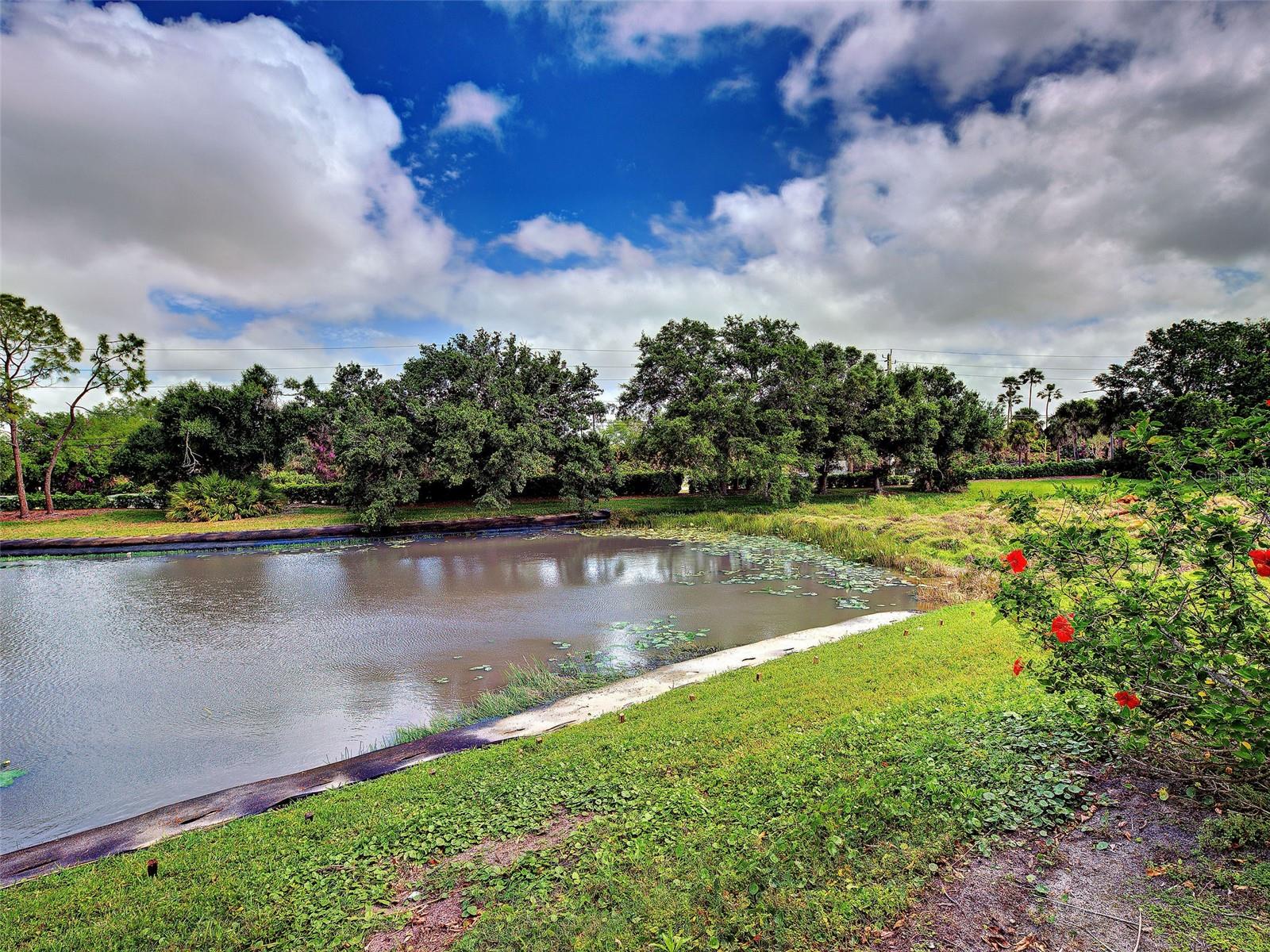 WEST LAKE GARDENS ST ANDREWS PARK - Residential