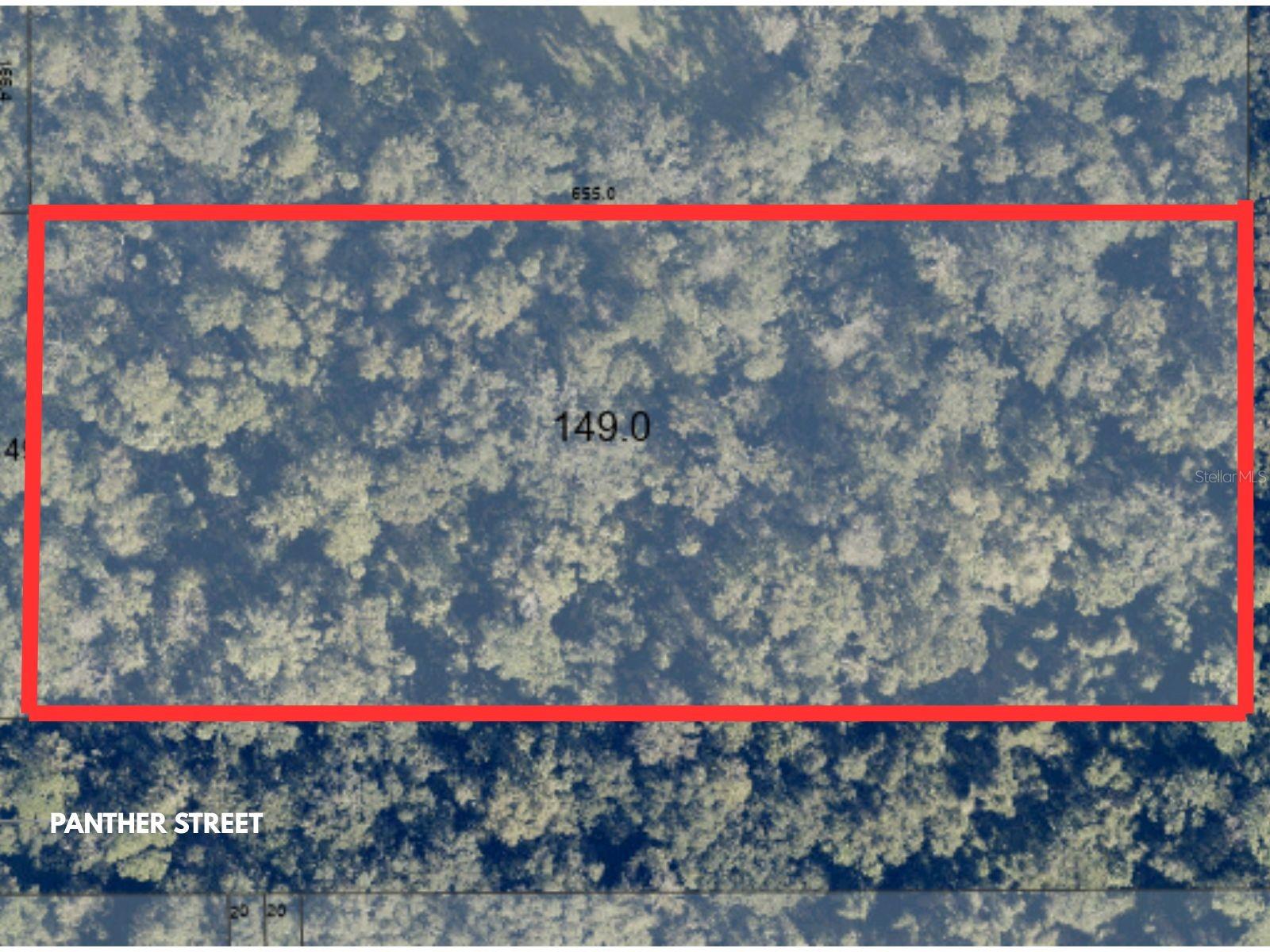 BLACK HAMMOCK - Land