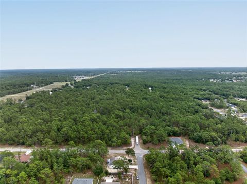 Tiny photo for 799 W Wycliffe Lane, Citrus Springs, FL 34434 (MLS # TB8506790)