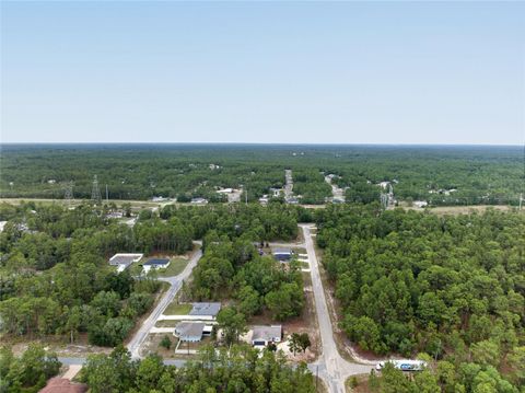 Tiny photo for 799 W Wycliffe Lane, Citrus Springs, FL 34434 (MLS # TB8506790)
