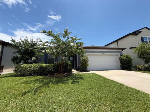 Photo of 10401 Malvasia Avenue, Riverview, FL 33578 (MLS # O6400493)