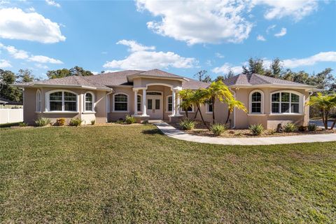 A home in DUNNELLON