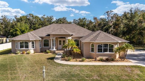 A home in DUNNELLON