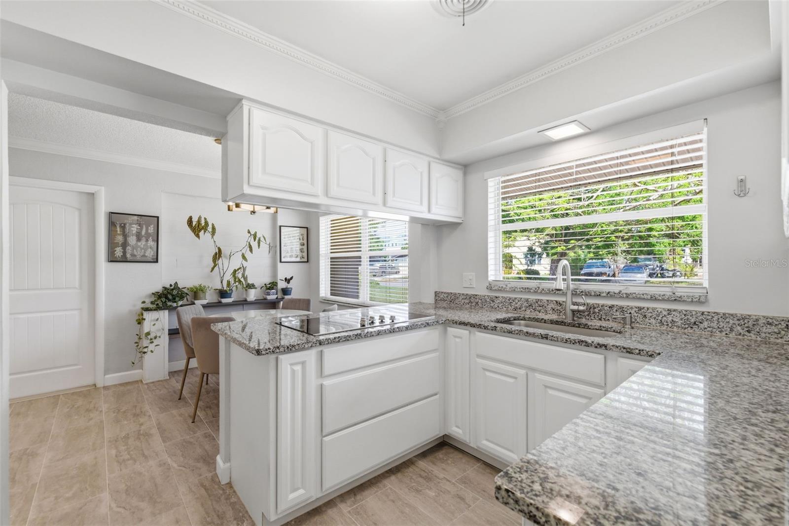 LAKE MAGGIORE PARK REV - Residential