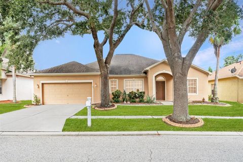 Photo of 10903 Wildcat Drive, Riverview, FL 33579 (MLS # TB8412190)