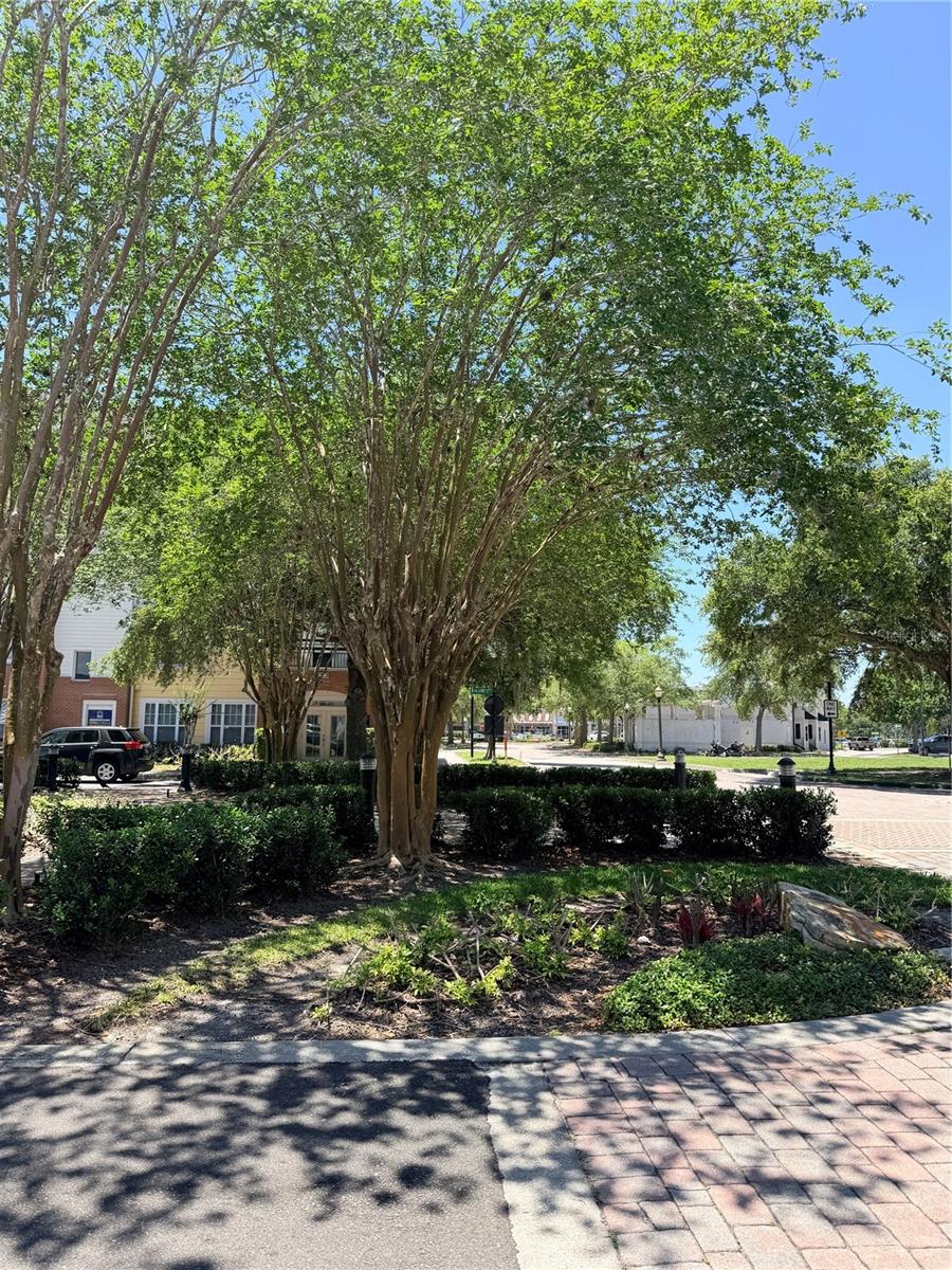 HICKORY GROVE TWNHMS - Residential