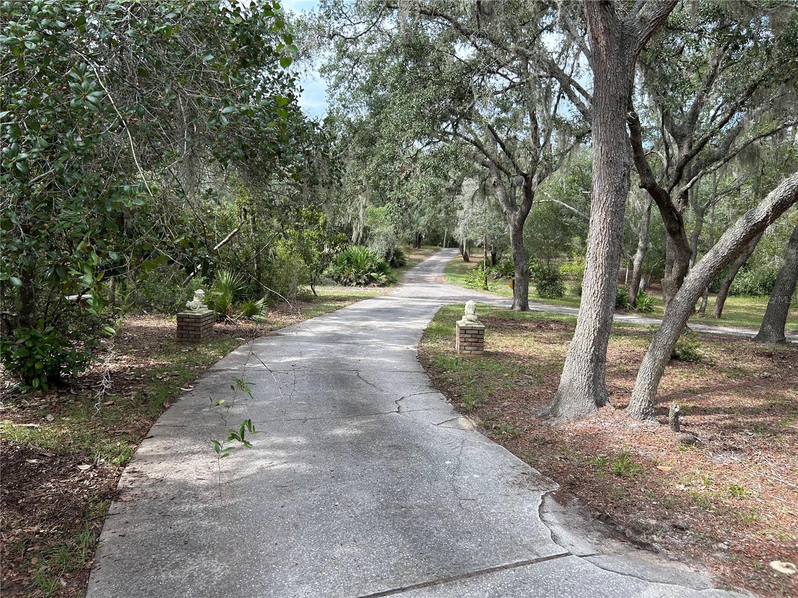 265 SHADY LANE